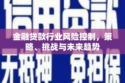 伍家岗金融贷款行业风险控制，策略、挑战与未来趋势