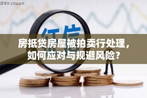 武侯房抵贷房屋被拍卖行处理，如何应对与规避风险？